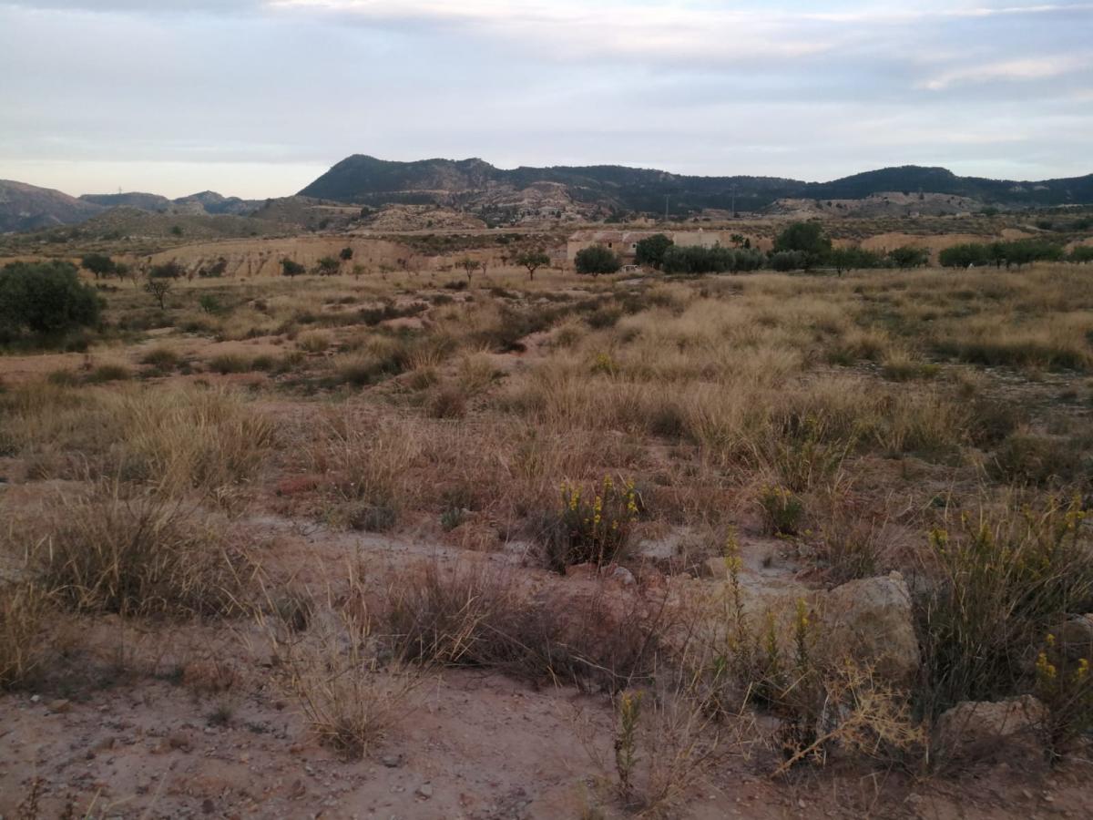 18-10-2019_IMG-20191017-WA0065 - copia.jpg
